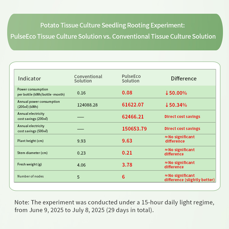 Potato Tissue Culture Seedling Rooting Experiment