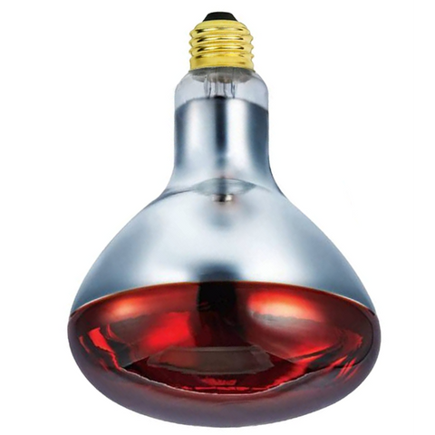 Infrared Heat Lamp R125