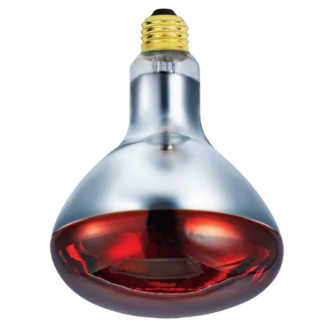 Infrared Heat Lamp R125
