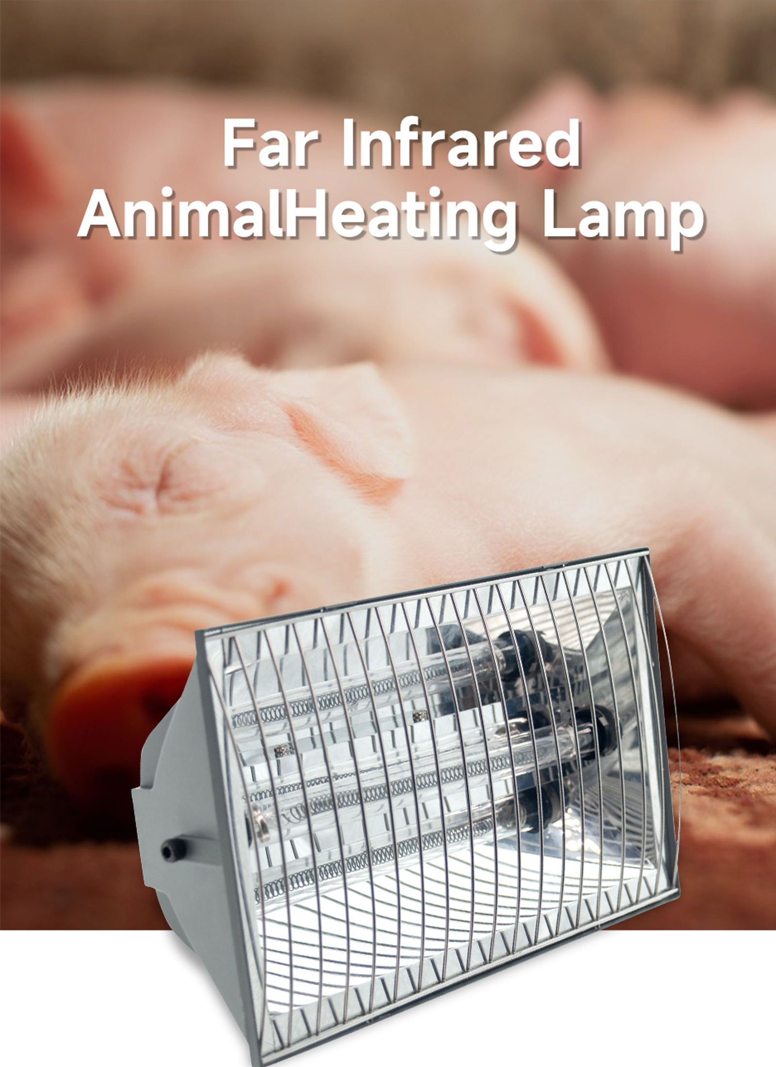 Far Infrared Animal Heating Lamp (Carbon Fiber Lamp)-01