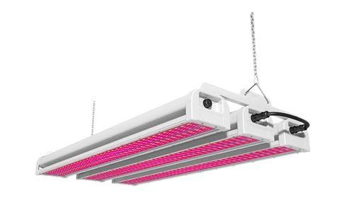 Top Grow Light Solution (Lighting + Disinfection Two-in-One)