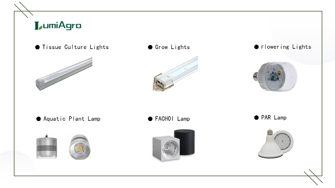 a series of supplementary lighting products