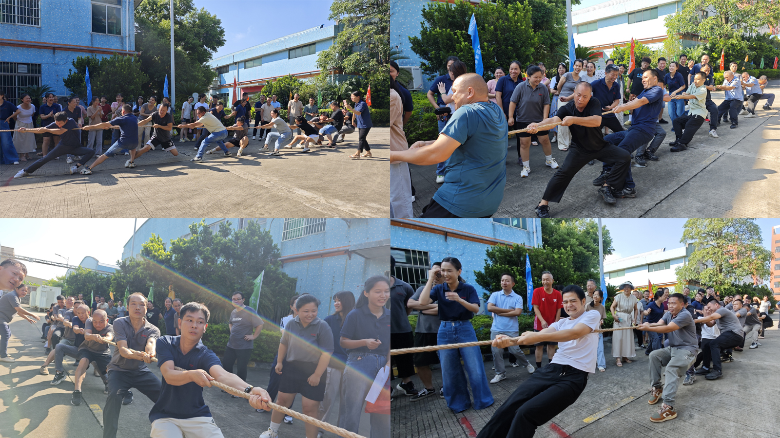 tug-of-war competition