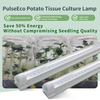 PulseEco Tissue Culture Light