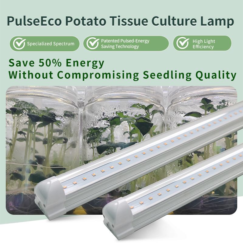 PulseEco Tissue Culture Light