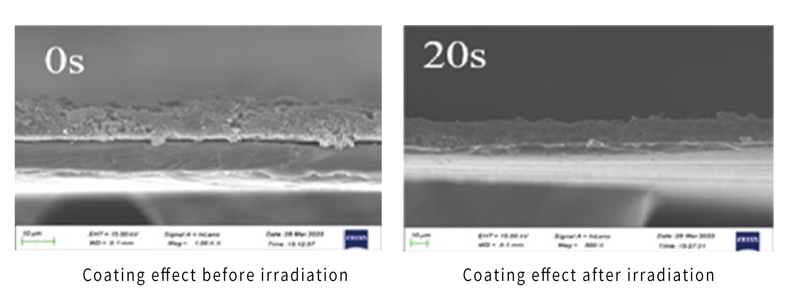 Substrate Cross-Section Electron Microscopy Image