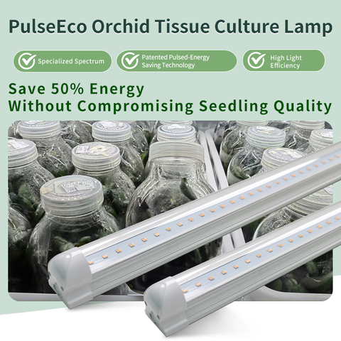 PulseEco Tissue Culture Light