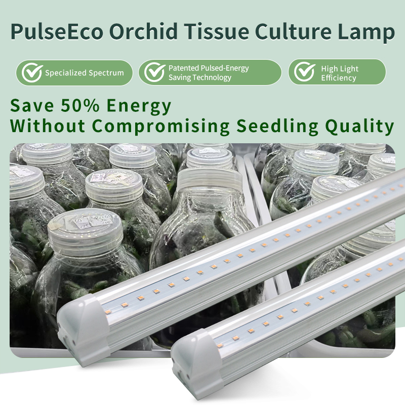 PulseEco Tissue Culture Light