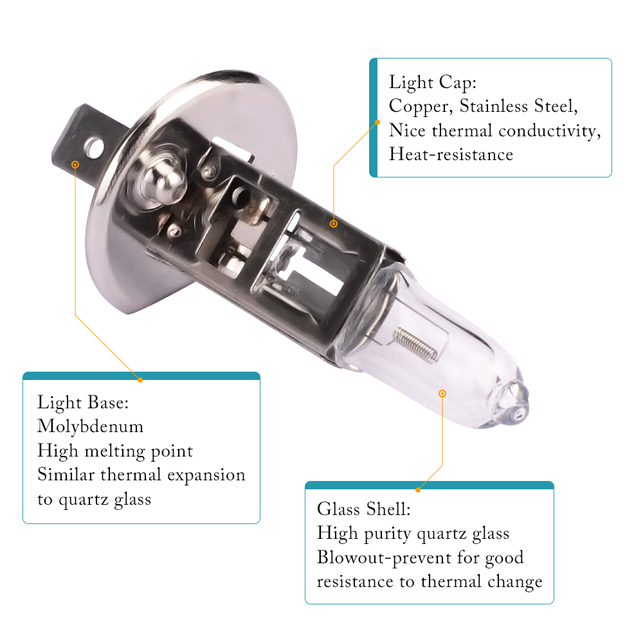 Halogen Headlight Bulbs H1 - 12V/24V Options Available
