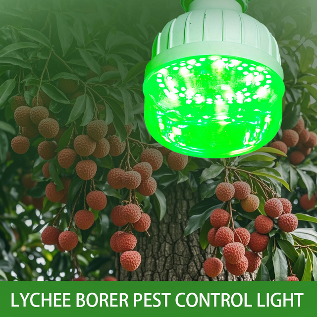 Lychee Borer Pest Control Light